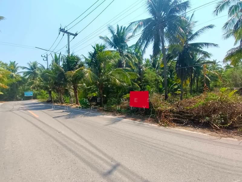 ที่ดินนางตะเคียน สมุทรสงคราม, สมุทรสงคราม, นางตะเคียน, เมืองสมุทรสงคราม, สมุทรสงคราม, 2,580 ตร.ม., ที่ดิน ขาย, โดย The Best Property นุ้ย, 500111717 - DDproperty.com