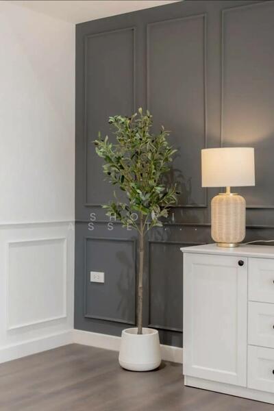 For Sale - ทาวน์โฮม เจ็ดยอด, Chiang Mai