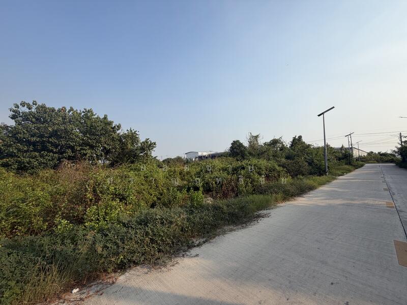 ขาย - ที่ดิน 10 ไร่ ซอยยิ้มแย้ม ซอยประชาอุทิศ 90, สมุทรปราการ