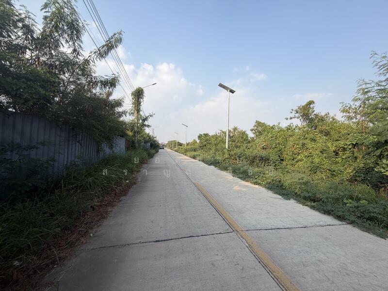 ขาย - ที่ดิน 10 ไร่ ซอยยิ้มแย้ม ซอยประชาอุทิศ 90, สมุทรปราการ