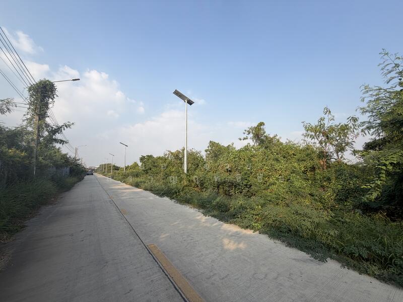 ขาย - ที่ดิน 10 ไร่ ซอยยิ้มแย้ม ซอยประชาอุทิศ 90, สมุทรปราการ