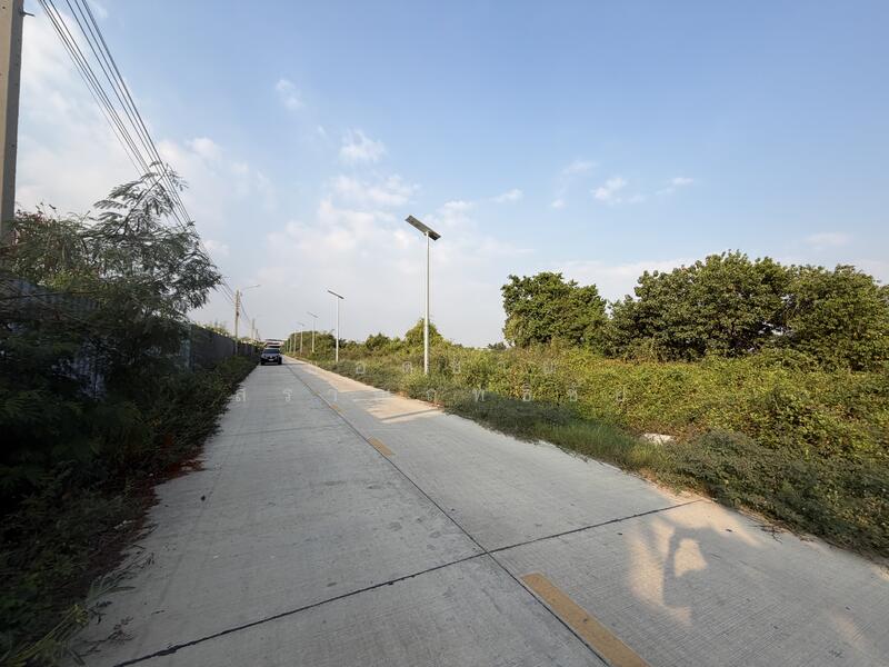 ขาย - ที่ดิน 10 ไร่ ซอยยิ้มแย้ม ซอยประชาอุทิศ 90, สมุทรปราการ