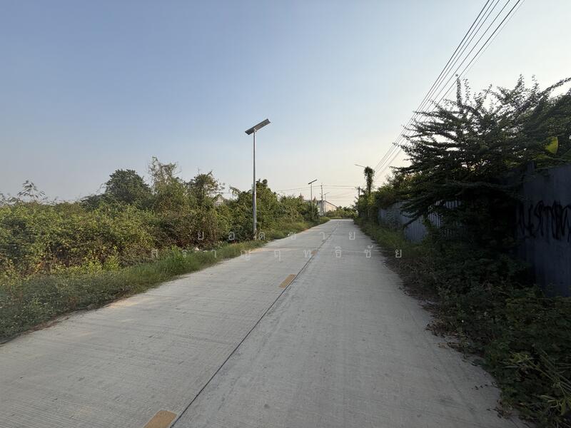 ขาย - ที่ดิน 10 ไร่ ซอยยิ้มแย้ม ซอยประชาอุทิศ 90, สมุทรปราการ