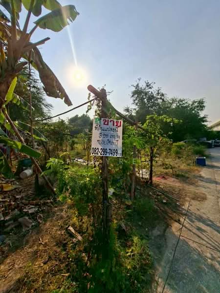 ขายที่ดินเทพารักษ์56, Samut Prakan, Samrong Nua, Muang Samut Prakarn, Samut Prakan, , 1,592 sqm, Land For Sale, by mickyreal, 500111995 - DDproperty.com