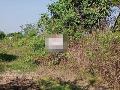 ขาย - ซอยบ้านจิตธรรมดี-ลาดบัวหลวง, พระนครศรีอยุธยา