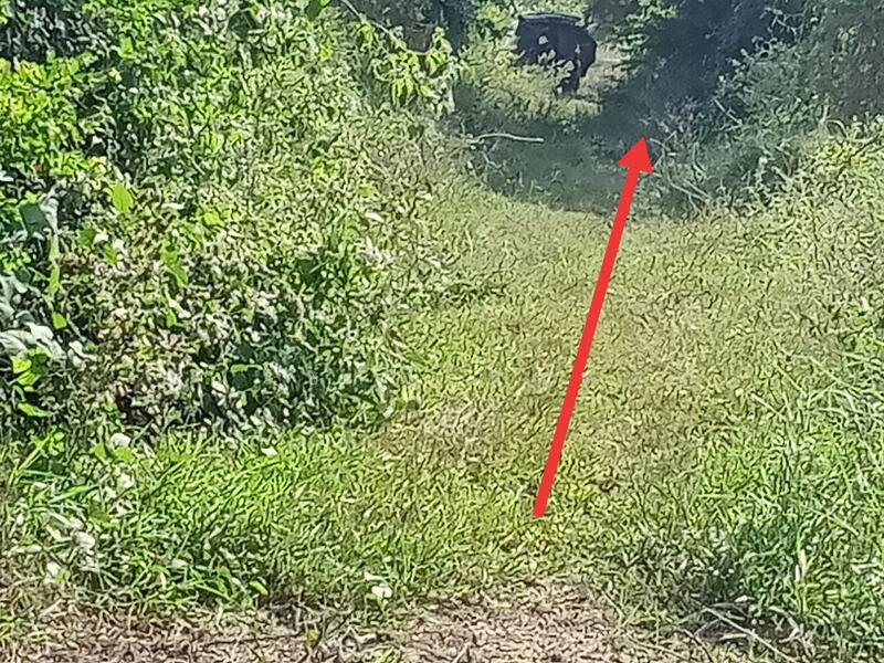 ขาย - ซอยบ้านจิตธรรมดี-ลาดบัวหลวง, พระนครศรีอยุธยา