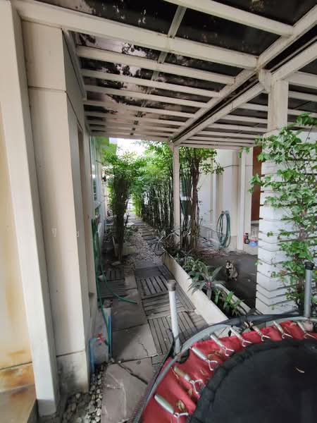Detached House 4 bedrooms for rent in Sukhumvit 101, Bangkok, สุขุมวิท 101, Bang Chak, Phra Khanong, Bangkok, 4 Bedrooms, 300 sqm, Single Detached House For Rent, by ปรีชา จิตต์สมนึก, 500112411 - DDproperty.com