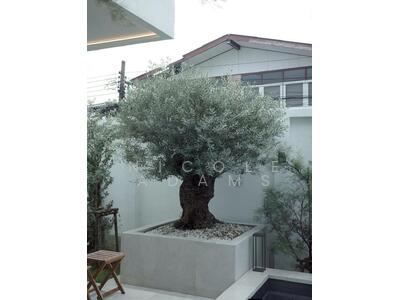 ขาย - บ้าน 3-ห้องนอน, กรุงเทพ