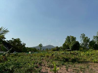 ขาย - ขายที่ดินศรีราชา ซอยบ้านลุงเทิ้ม นาพร้าว, ชลบุรี