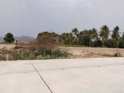 ขาย - ติดนิคมWHA ศรีราชา ชลบุรี, ชลบุรี