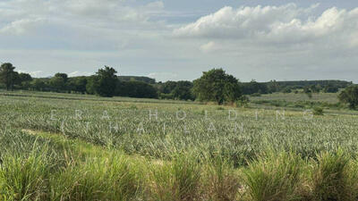 ขาย - ติดถนน 2ด้าน, ระยอง