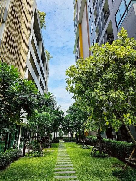 The Sky Sukhumvit, Bangkok, 103-4 Sukhumvit Road, Bang Na Nuea, Bang Na, Bangkok, 1 Bedroom, 35 sqm, Condo For Rent, by Praewpakar Soontawong, 500114226 - DDproperty.com