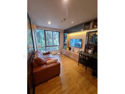 ขาย - Siamese Nang Linchee : ไซมิส นางลิ้นจี่, กรุงเทพ