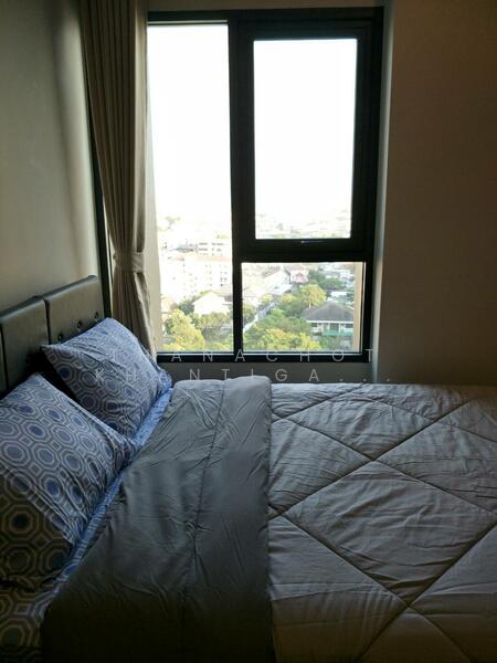 C Ekkamai, Bangkok, 888 Soi Sukhumvit 63, Sukhumvit Road, Khlong Tan Nua, Watthana, Bangkok, 1 Bedroom, 31 sqm, Condo For Rent, by Thanachot Khantigamongun, 500115023 - DDproperty.com