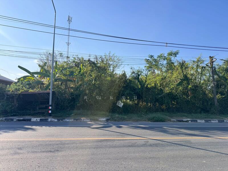 For Sale - ที่ดินว่างเปล่าหนองบัวลำภู, Nong Bua Lam Phu