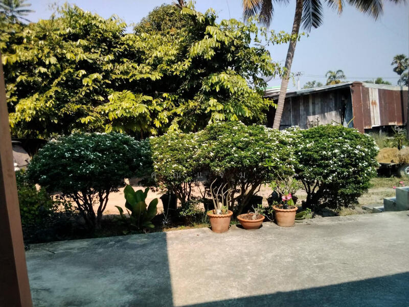 นอกโครงการกำแพงเพชร, Kamphaeng Phet, Wang Zai, Khlong Khlung, Kamphaeng Phet, 3 Bedrooms, 330 sqm, Single Detached House For Sale, by คุณแจม, 500115276 - DDproperty.com