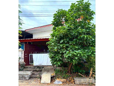 ขาย - นอกโครงการเพชรบูรณ์, เพชรบูรณ์