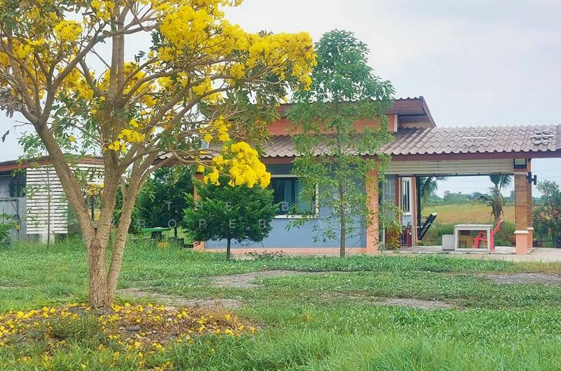 ขาย - บ้านเดี่ยวพร้อมที่ดินบางแก้ว ฉะเชิงเทรา, ฉะเชิงเทรา