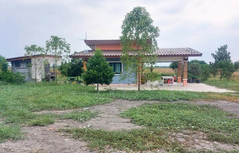 ขาย - บ้านเดี่ยวพร้อมที่ดินบางแก้ว ฉะเชิงเทรา, ฉะเชิงเทรา