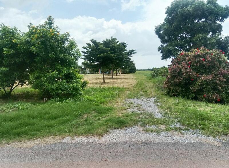 ขาย - บ้านเดี่ยวพร้อมที่ดินบางแก้ว ฉะเชิงเทรา, ฉะเชิงเทรา