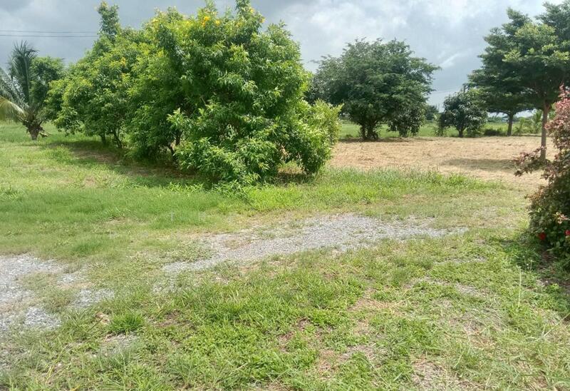 ขาย - บ้านเดี่ยวพร้อมที่ดินบางแก้ว ฉะเชิงเทรา, ฉะเชิงเทรา