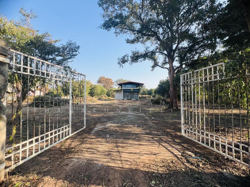 ขาย - ขายที่ดินติดทางหลวงทำเลค้าขาย ใกล้ศาลาแก้วกู่ ในเมืองหนองคาย, หนองคาย