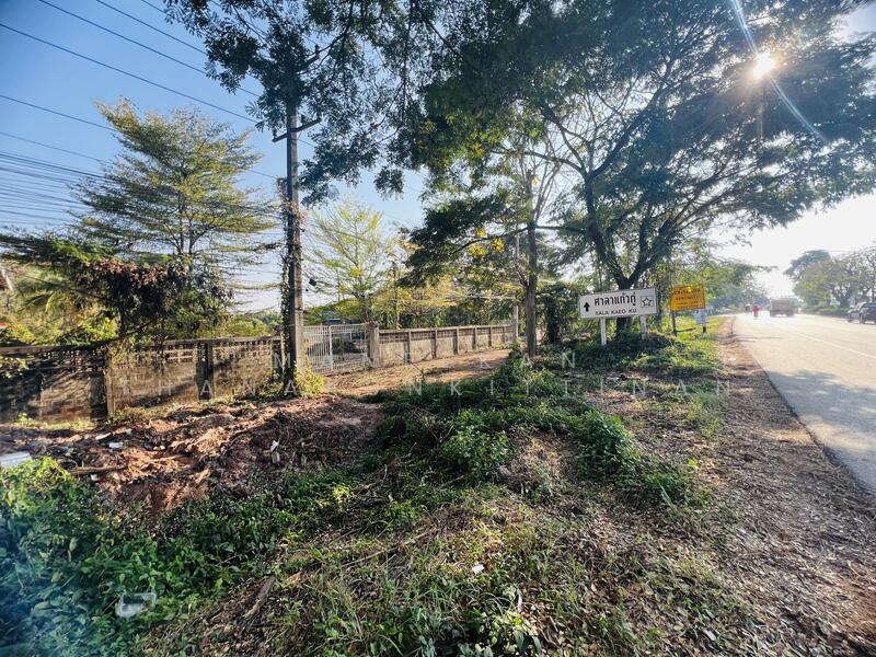 ขาย - ขายที่ดินติดทางหลวงทำเลค้าขาย ใกล้ศาลาแก้วกู่ ในเมืองหนองคาย, หนองคาย