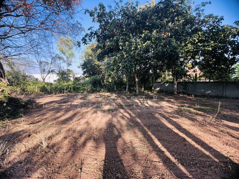 ขาย - ขายที่ดินติดทางหลวงทำเลค้าขาย ใกล้ศาลาแก้วกู่ ในเมืองหนองคาย, หนองคาย