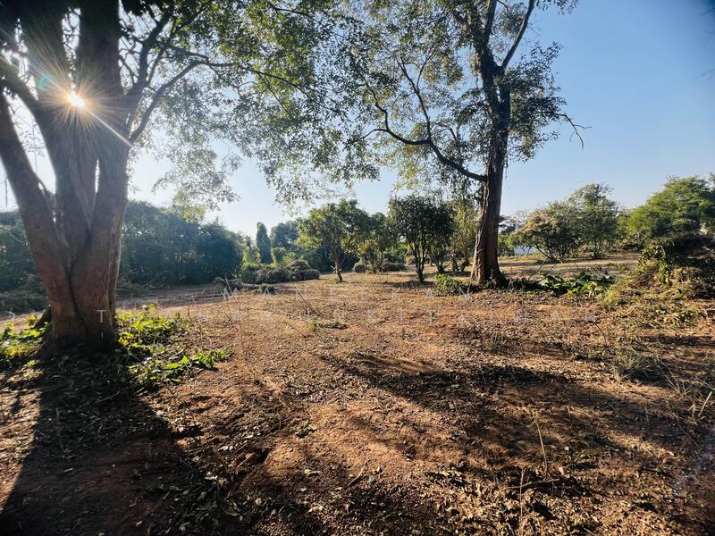 ขาย - ขายที่ดินติดทางหลวงทำเลค้าขาย ใกล้ศาลาแก้วกู่ ในเมืองหนองคาย, หนองคาย