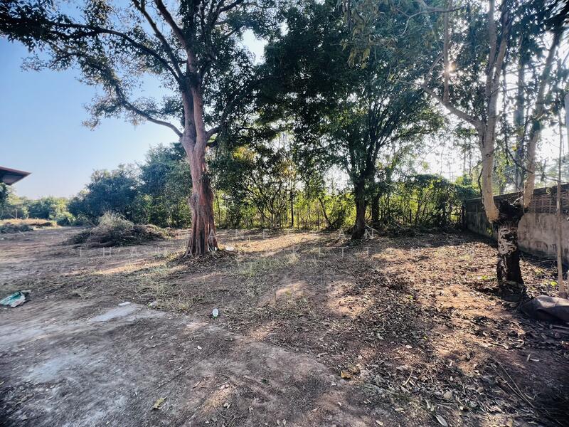 ขาย - ขายที่ดินติดทางหลวงทำเลค้าขาย ใกล้ศาลาแก้วกู่ ในเมืองหนองคาย, หนองคาย