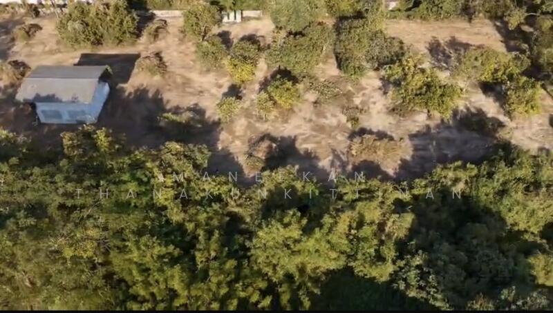 ขาย - ขายที่ดินติดทางหลวงทำเลค้าขาย ใกล้ศาลาแก้วกู่ ในเมืองหนองคาย, หนองคาย