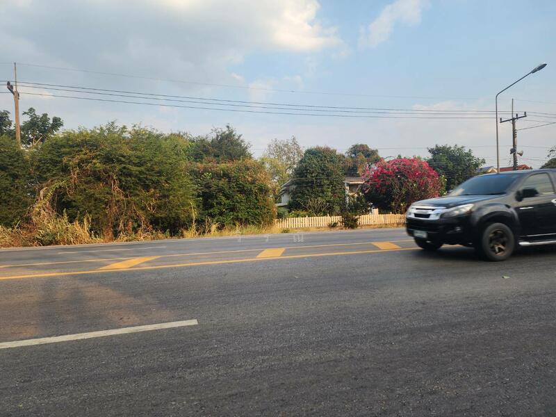 ขาย - ขายที่ดิน บึงอ้อ ต.ขามทะเลสอ, นครราชสีมา