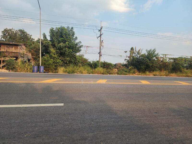 ขาย - ขายที่ดิน บึงอ้อ ต.ขามทะเลสอ, นครราชสีมา