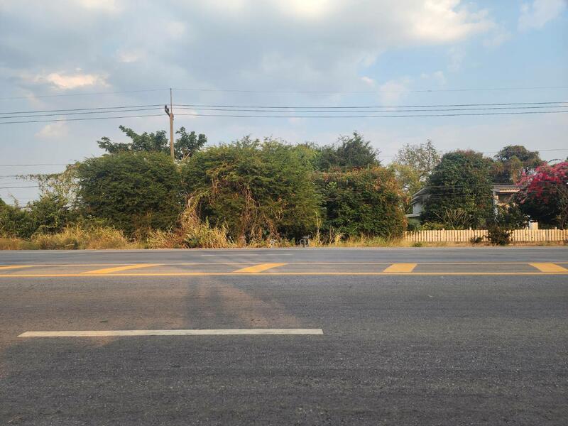 ขาย - ขายที่ดิน บึงอ้อ ต.ขามทะเลสอ, นครราชสีมา