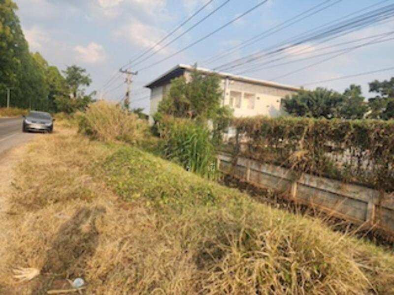 ขาย - ขายที่ดิน บึงอ้อ ต.ขามทะเลสอ, นครราชสีมา