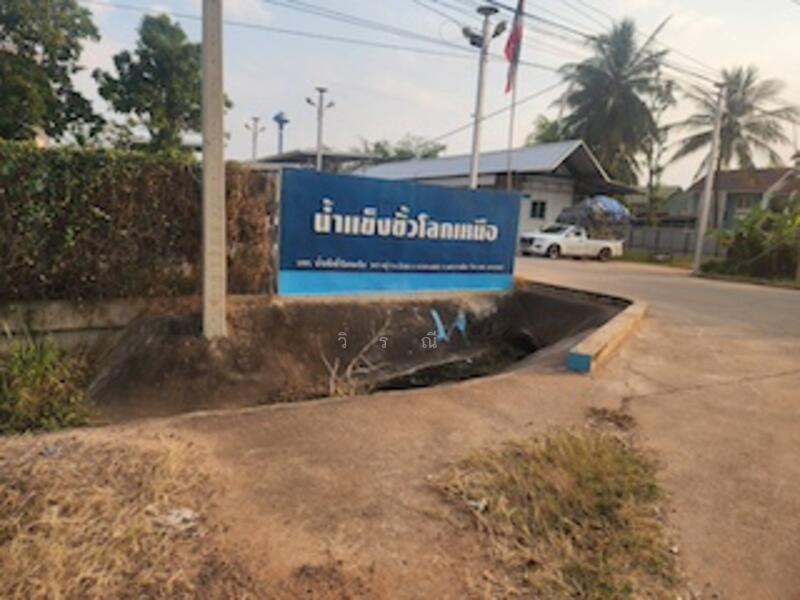 ขาย - ขายที่ดิน บึงอ้อ ต.ขามทะเลสอ, นครราชสีมา