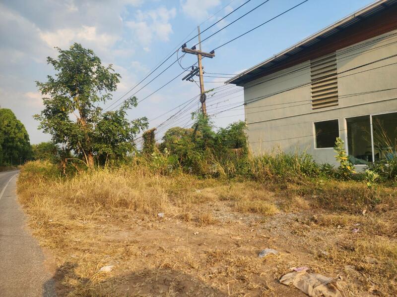 ขาย - ขายที่ดิน บึงอ้อ ต.ขามทะเลสอ, นครราชสีมา