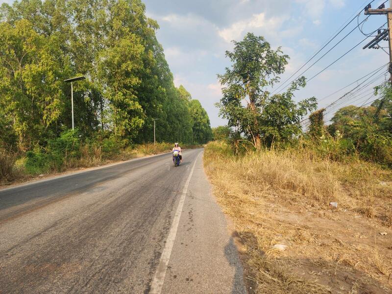 ขาย - ขายที่ดิน บึงอ้อ ต.ขามทะเลสอ, นครราชสีมา