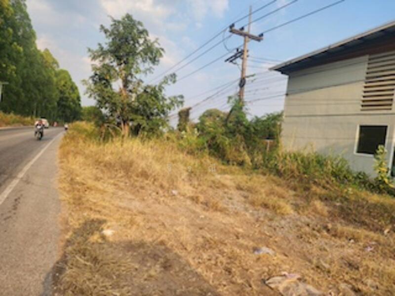 ขาย - ขายที่ดิน บึงอ้อ ต.ขามทะเลสอ, นครราชสีมา