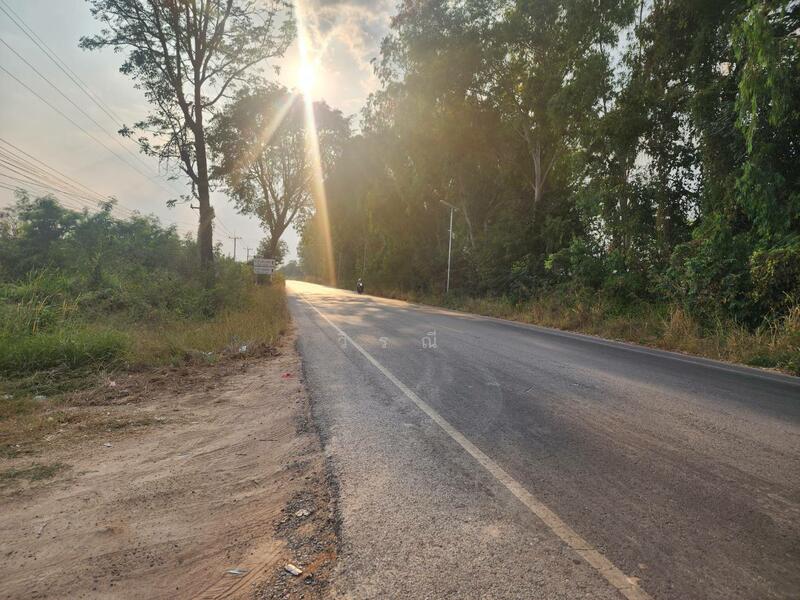 ขาย - ขายที่ดิน บึงอ้อ ต.ขามทะเลสอ, นครราชสีมา