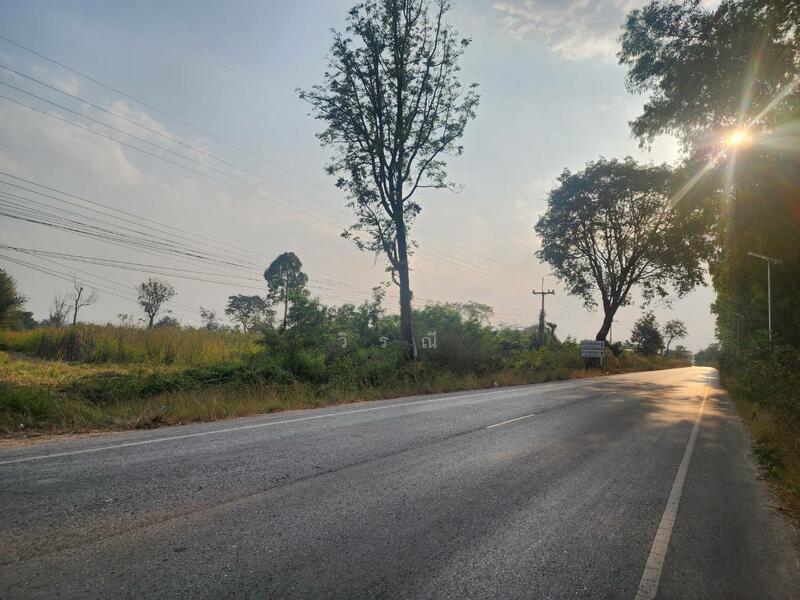 ขาย - ขายที่ดิน บึงอ้อ ต.ขามทะเลสอ, นครราชสีมา