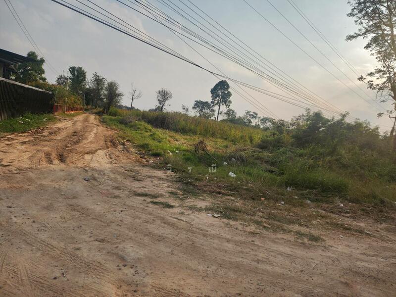 ขาย - ขายที่ดิน บึงอ้อ ต.ขามทะเลสอ, นครราชสีมา