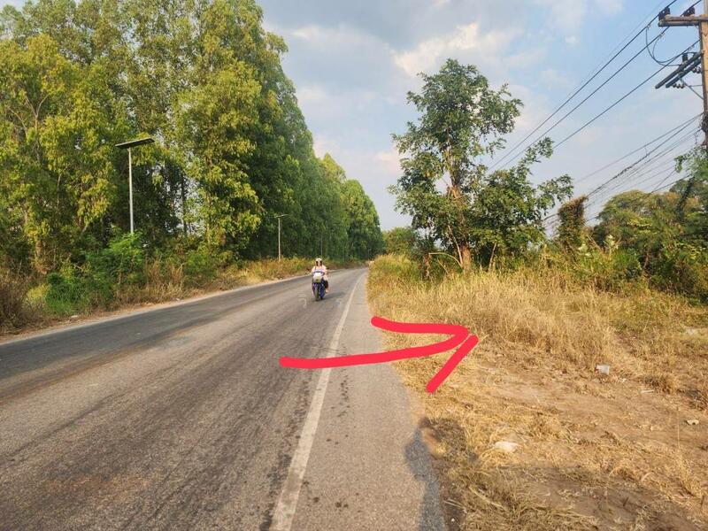 ขาย - ขายที่ดิน บึงอ้อ ต.ขามทะเลสอ, นครราชสีมา