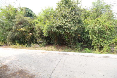 ขาย - ขายที่ดิน 355 ตร.วา ราคานักลงทุน ใกล้นิคมฯ และถนน 36 มาบข่า นิคมพัฒนา ระยอง, ระยอง