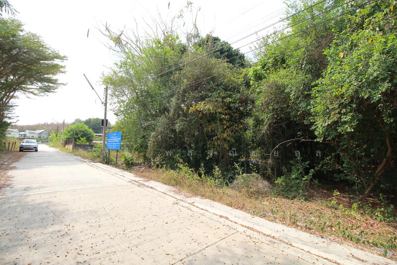 ขาย - ขายที่ดิน 355 ตร.วา ราคานักลงทุน ใกล้นิคมฯ และถนน 36 มาบข่า นิคมพัฒนา ระยอง, ระยอง