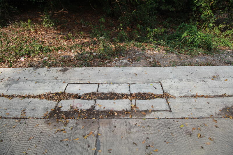 ขาย - ขายที่ดิน 355 ตร.วา ราคานักลงทุน ใกล้นิคมฯ และถนน 36 มาบข่า นิคมพัฒนา ระยอง, ระยอง