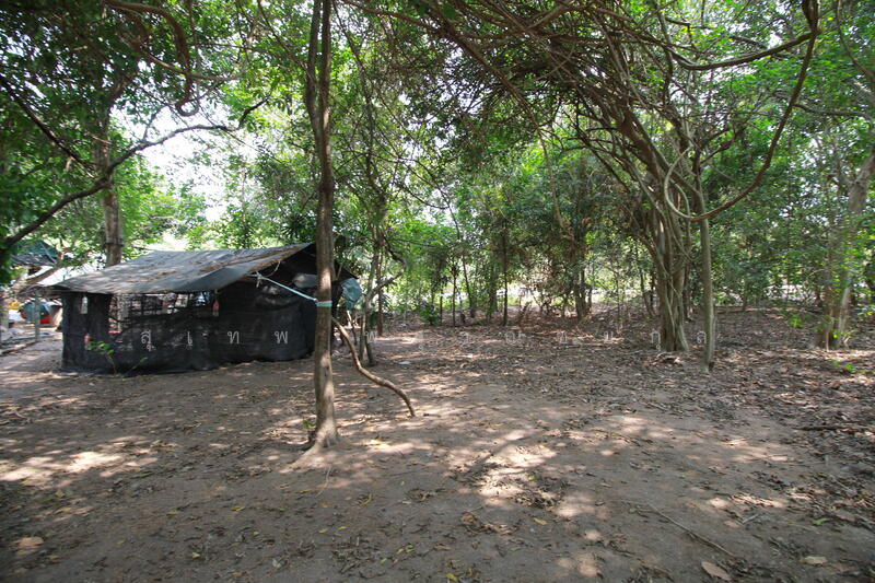 ขาย - ขายที่ดิน 355 ตร.วา ราคานักลงทุน ใกล้นิคมฯ และถนน 36 มาบข่า นิคมพัฒนา ระยอง, ระยอง