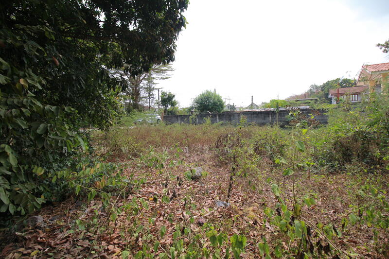 ขาย - ขายที่ดิน 355 ตร.วา ราคานักลงทุน ใกล้นิคมฯ และถนน 36 มาบข่า นิคมพัฒนา ระยอง, ระยอง