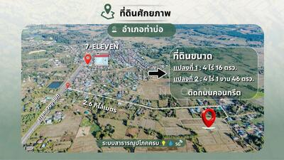 ขาย - ขายที่ดินเปล่า 2 แปลงติดกัน 8ไร่ 1งาน 62 ตร.ว. ติดถนนคอนกรีต ทำเลทอง ท่าบ่อ หนองคาย, หนองคาย