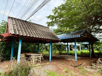 ขาย - นอกโครงการพิษณุโลก, พิษณุโลก